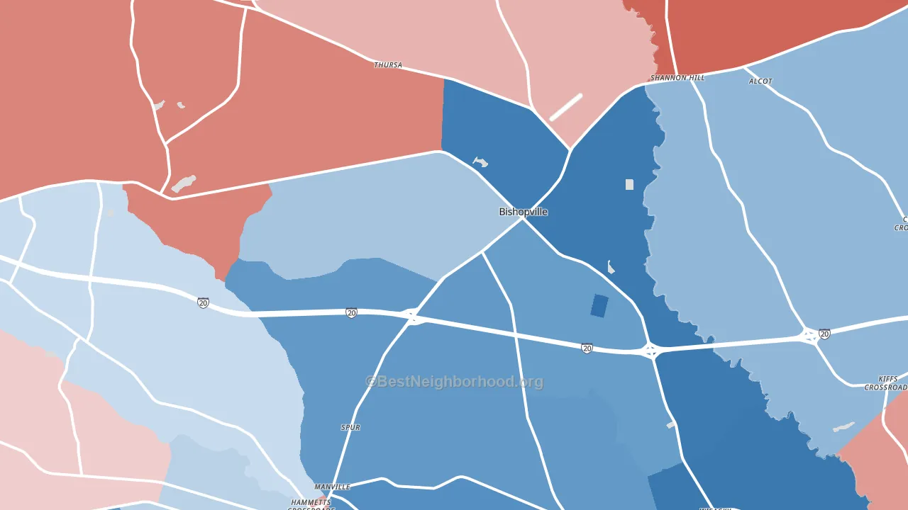 29010, SC block-group political-lean map