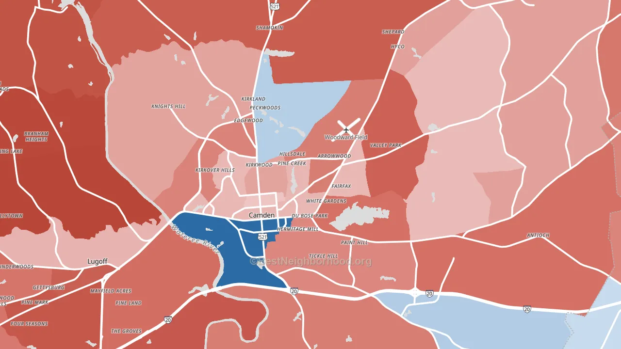 29020, SC block-group political-lean map