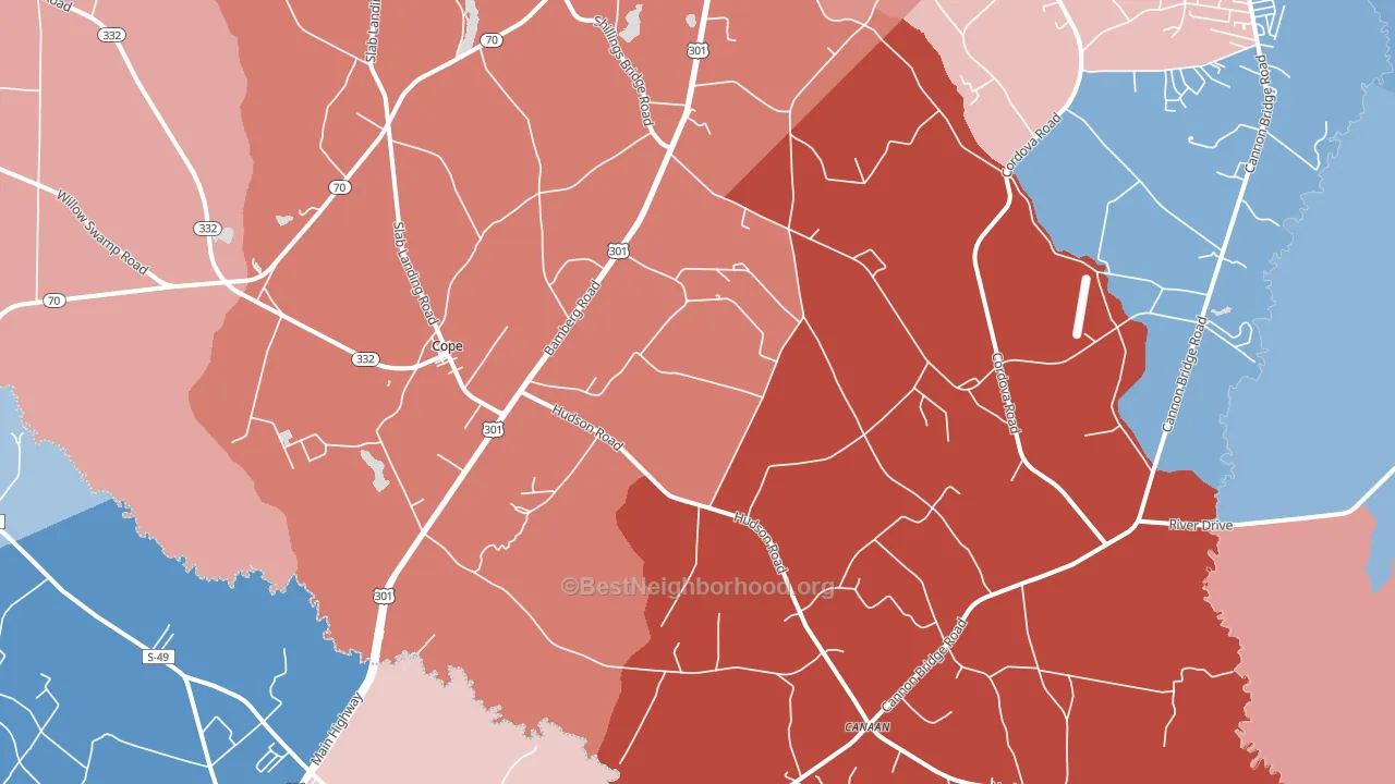 29038, SC block-group political-lean map