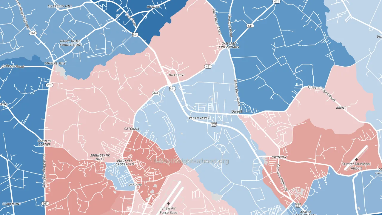 29040, SC block-group political-lean map