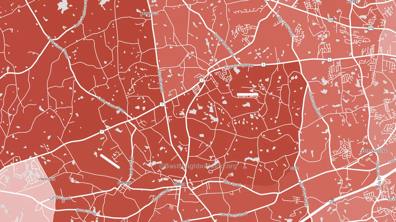 29054, SC block-group political-lean map