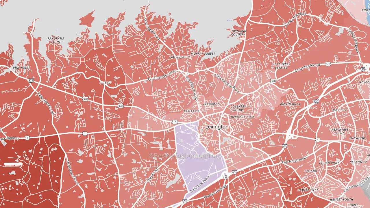 29072, SC block-group political-lean map