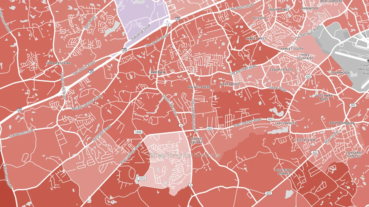 29073, SC block-group political-lean map