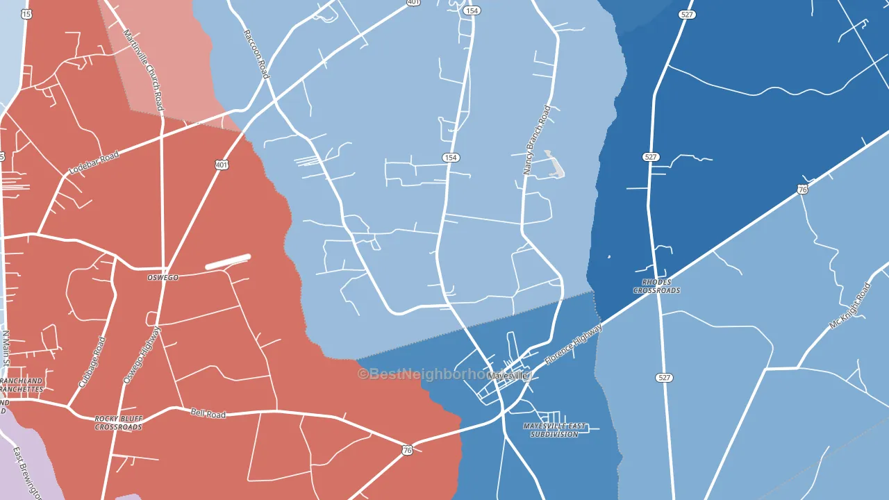 29104, SC block-group political-lean map