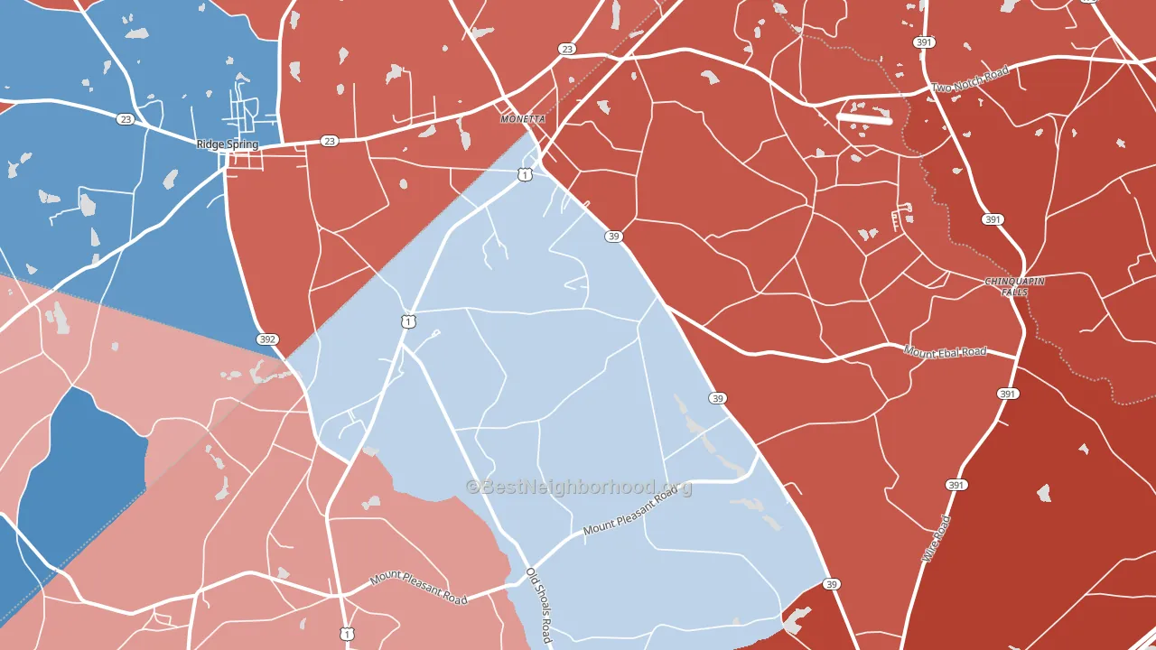 29105, SC block-group political-lean map