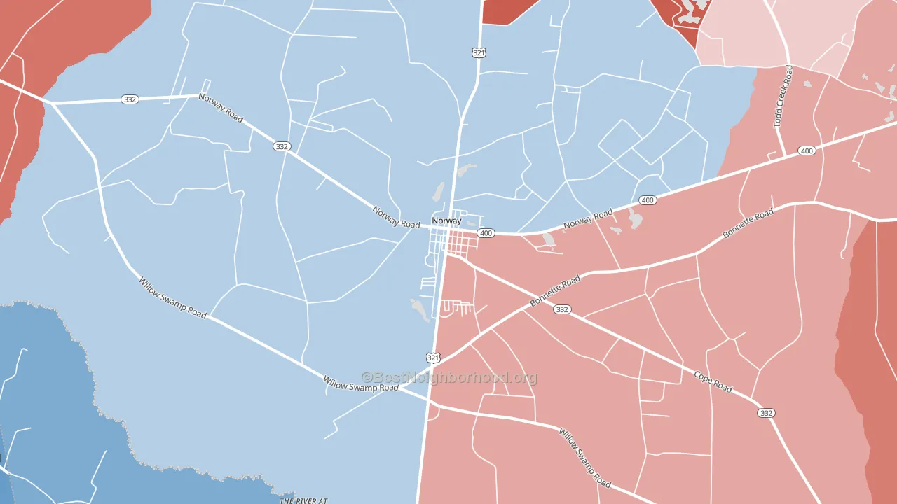 29113, SC block-group political-lean map