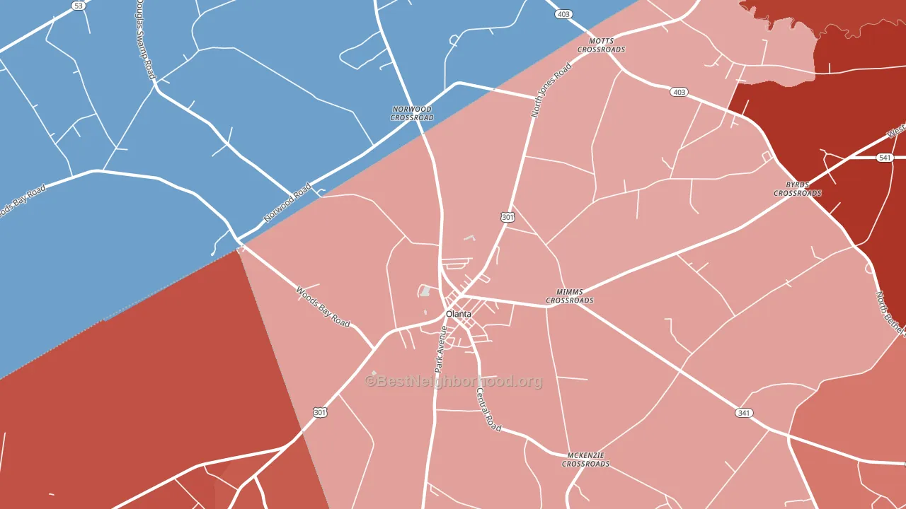 29114, SC block-group political-lean map