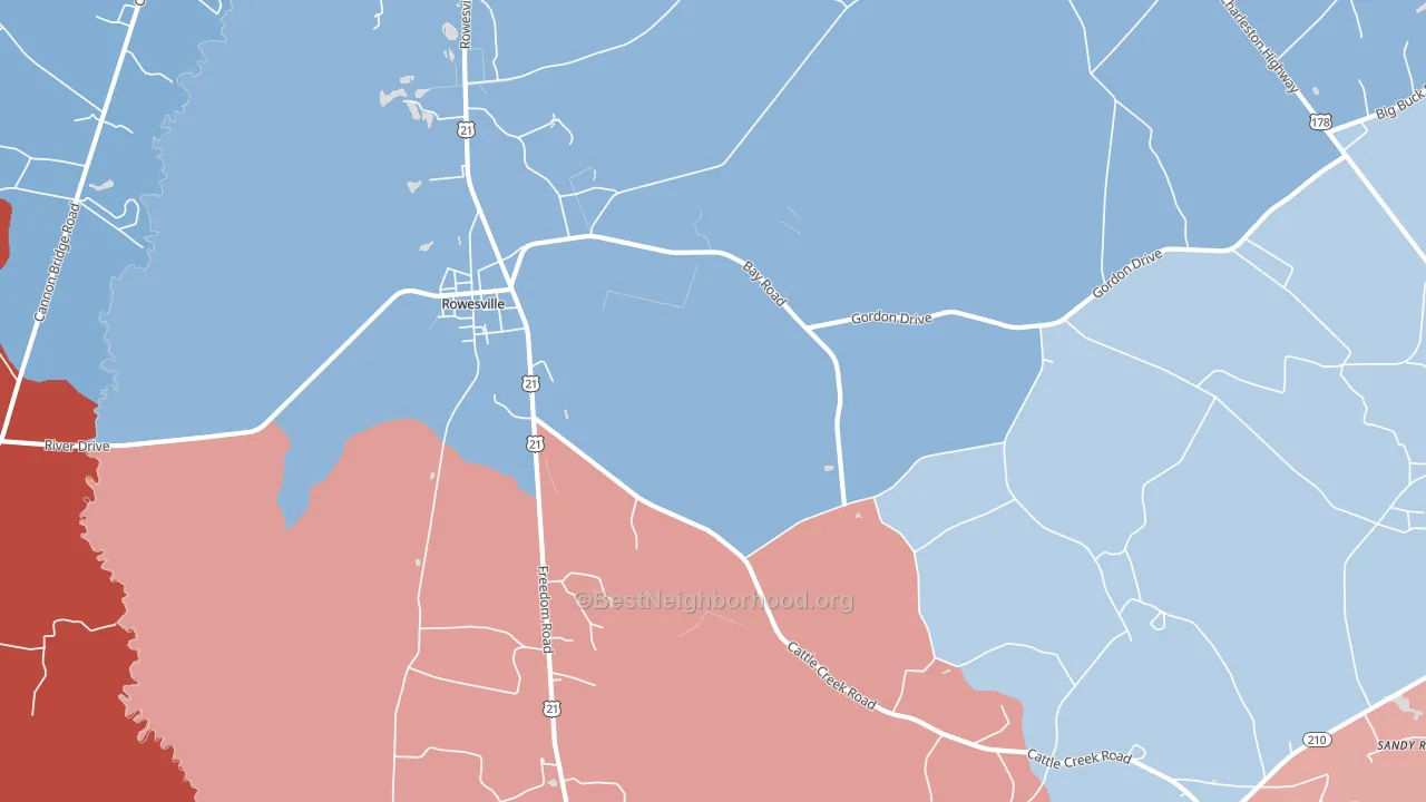 29133, SC block-group political-lean map