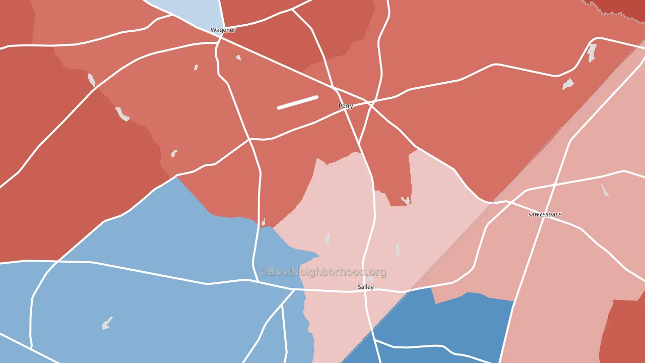 29137, SC block-group political-lean map