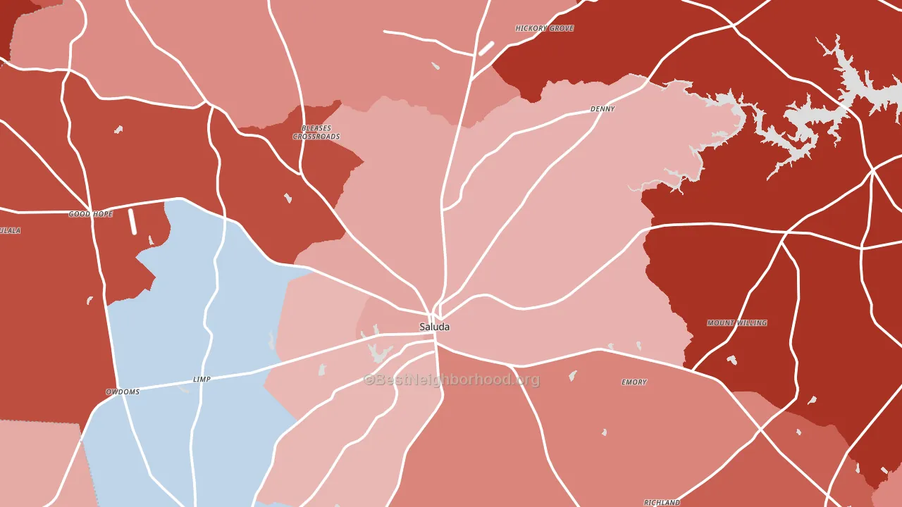 29138, SC block-group political-lean map