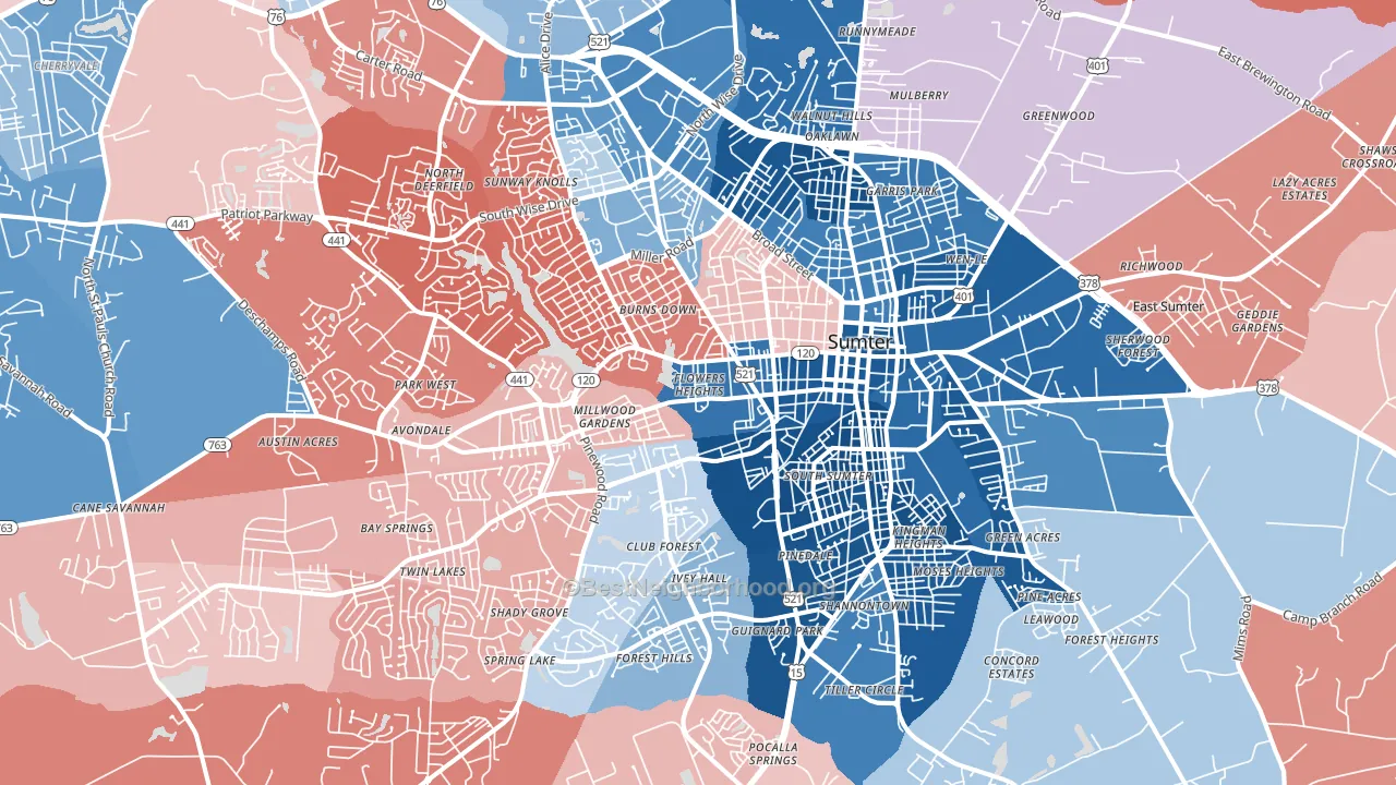 29150, SC block-group political-lean map