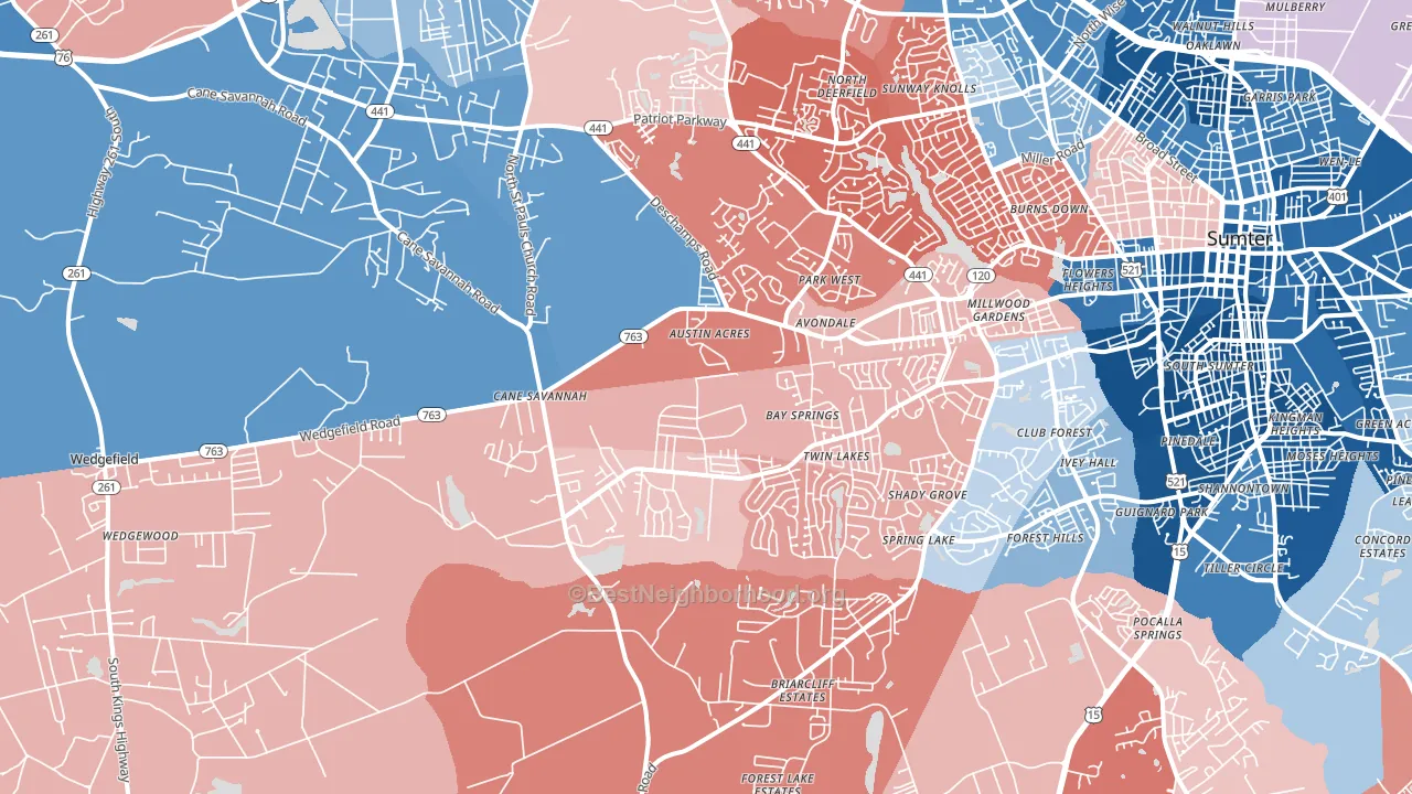 29154, SC block-group political-lean map