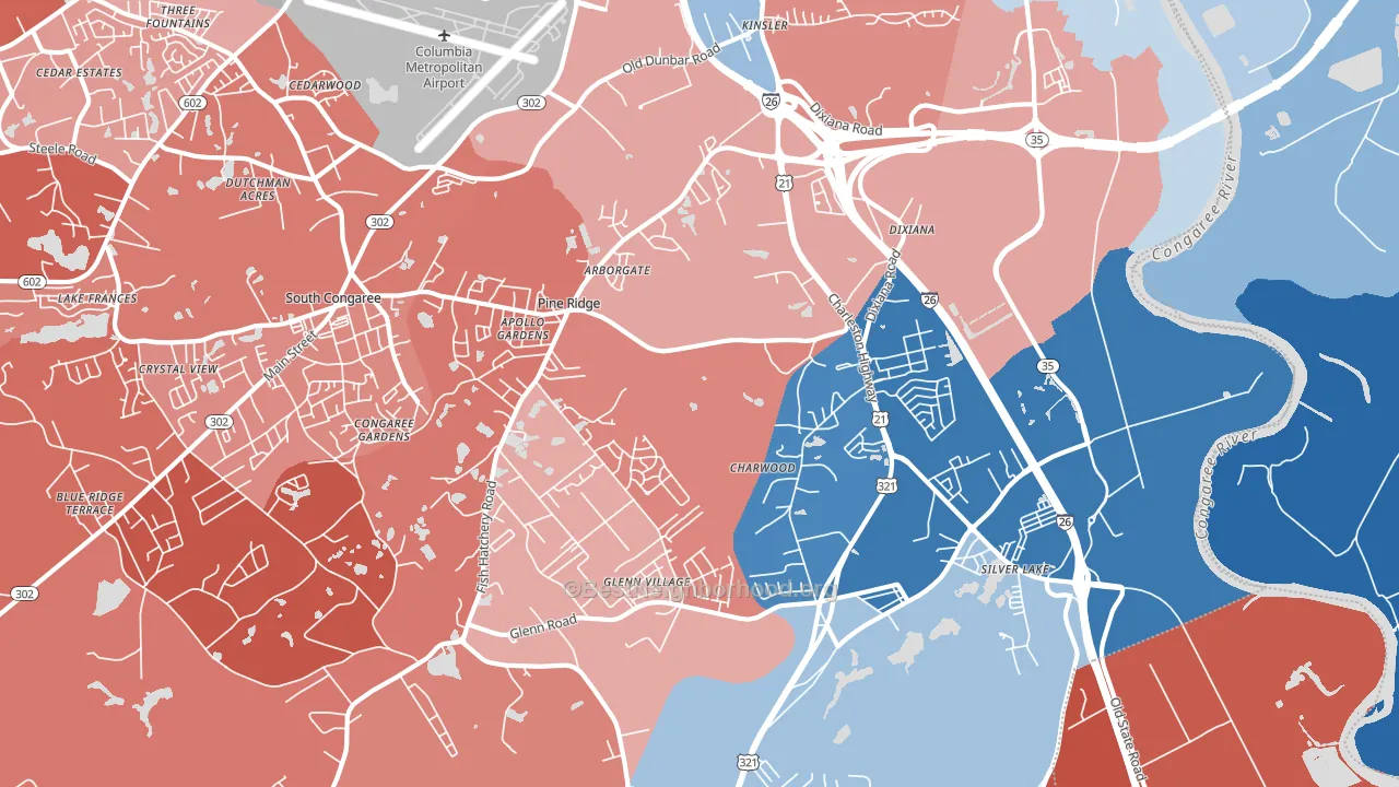 29172, SC block-group political-lean map