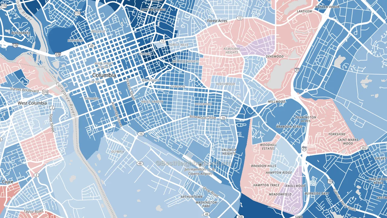 29205, SC block-group political-lean map