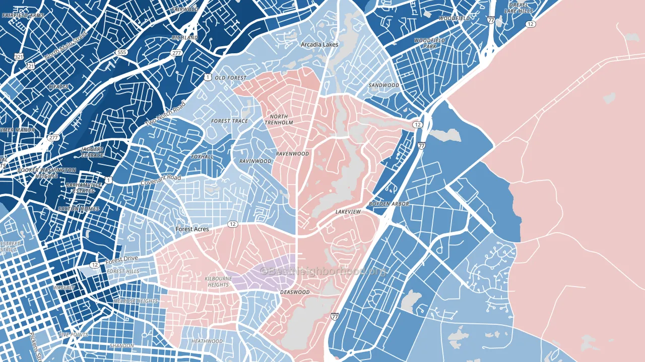 29206, SC block-group political-lean map