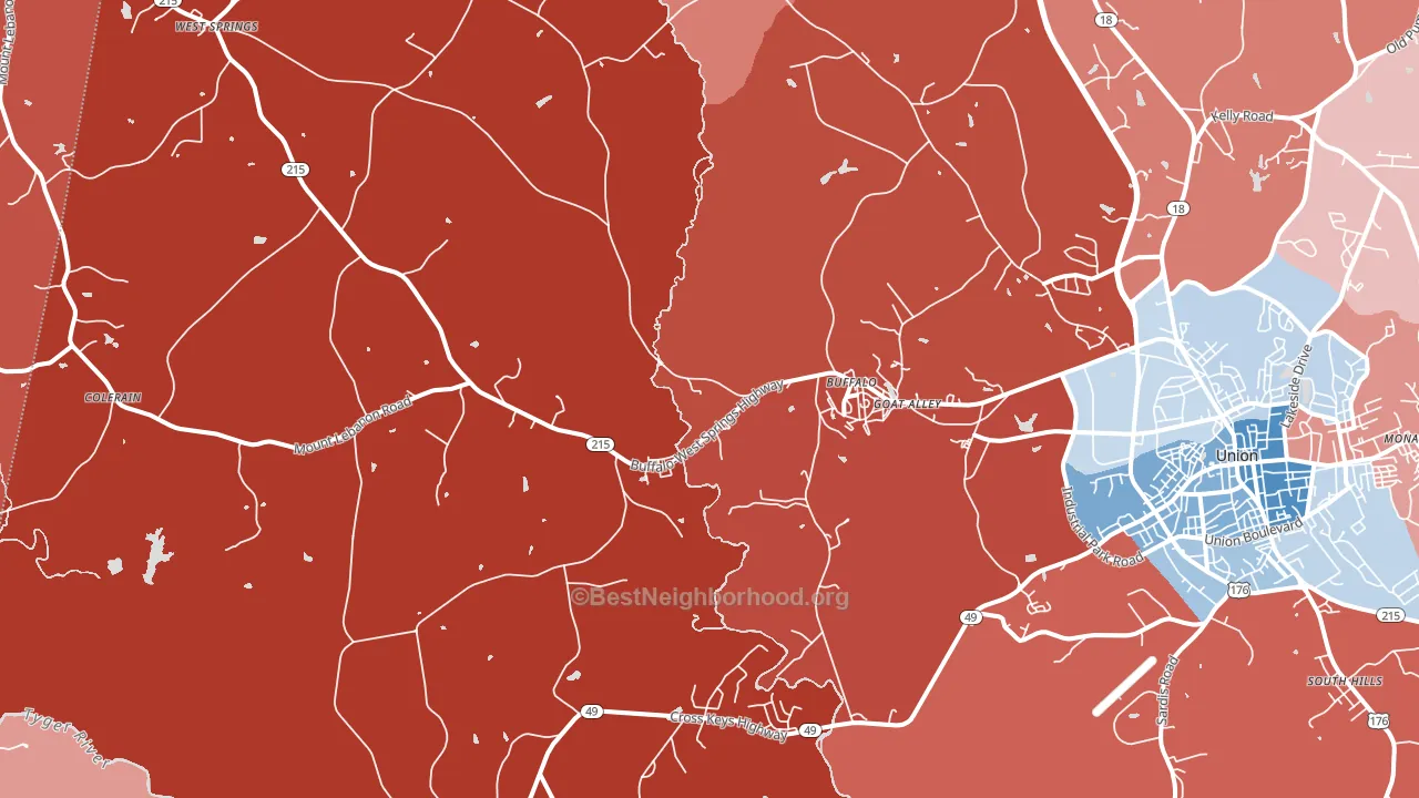 29321, SC block-group political-lean map