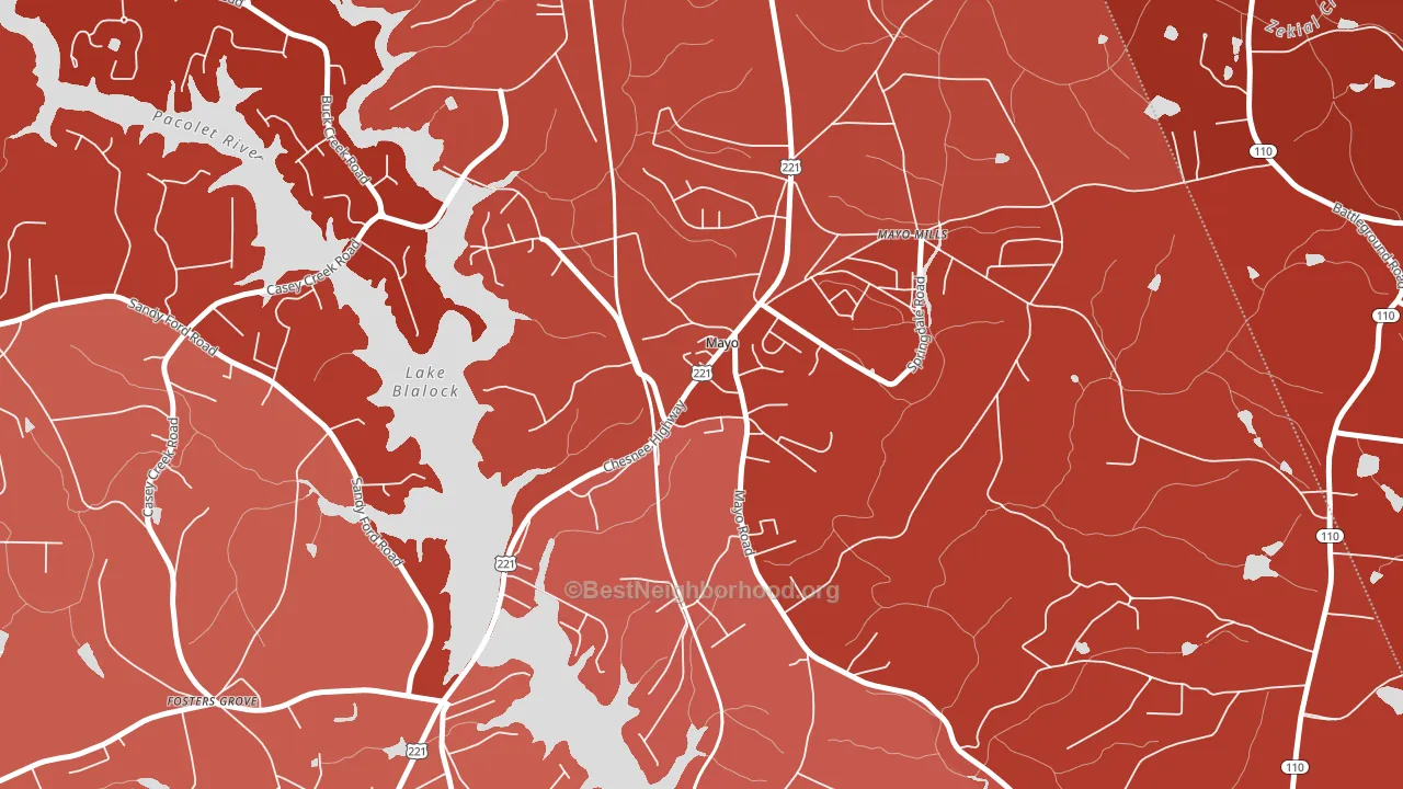29368, SC block-group political-lean map