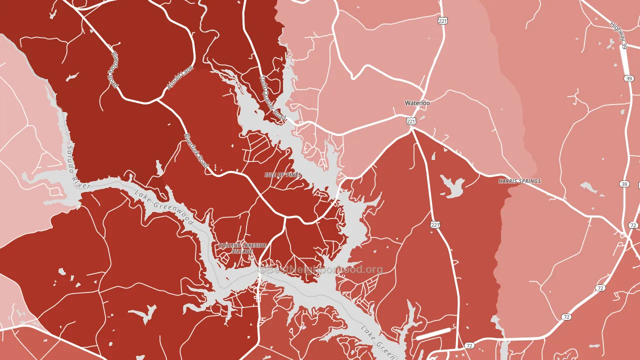 29384, SC block-group political-lean map