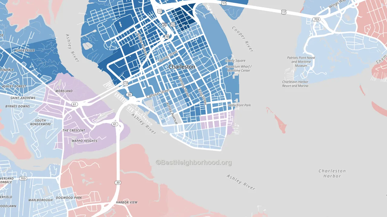 29401, SC block-group political-lean map