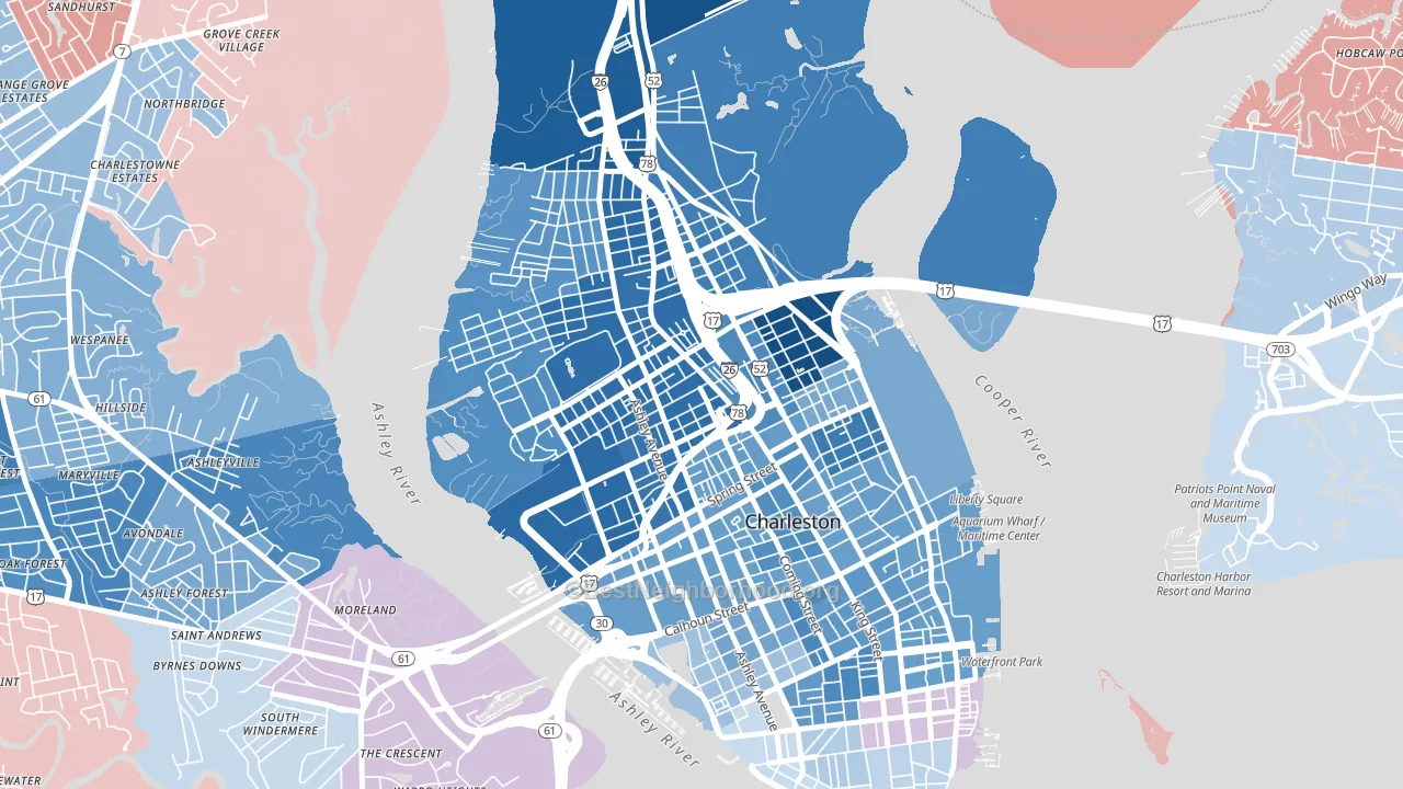 29403, SC block-group political-lean map