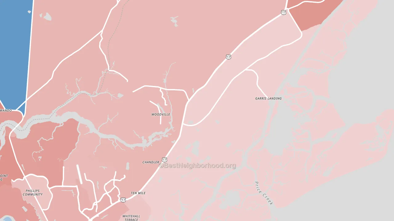 29429, SC block-group political-lean map