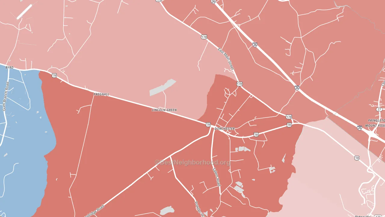 29437, SC block-group political-lean map