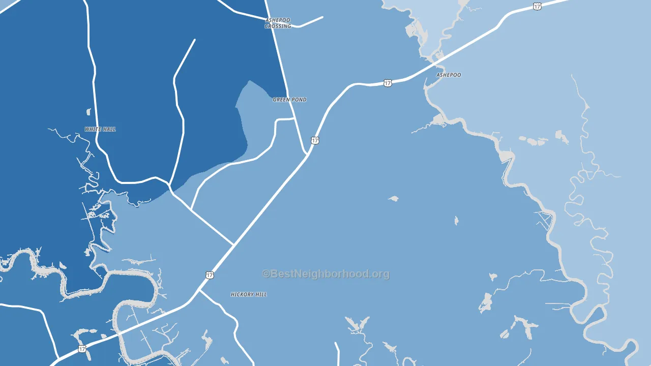 29446, SC block-group political-lean map
