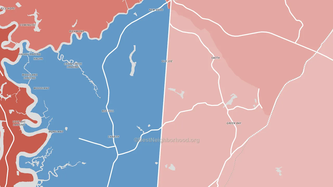 29450, SC block-group political-lean map