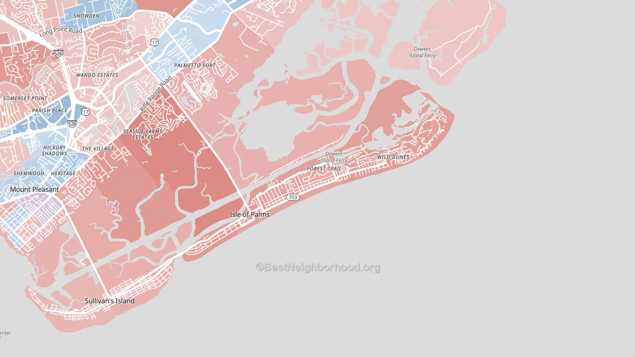 29451, SC block-group political-lean map
