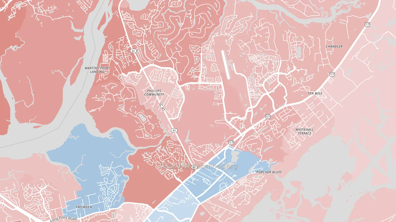 29466, SC block-group political-lean map
