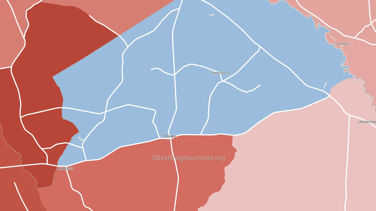 29481, SC block-group political-lean map