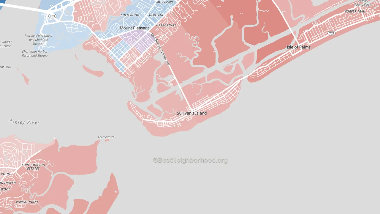 29482, SC block-group political-lean map