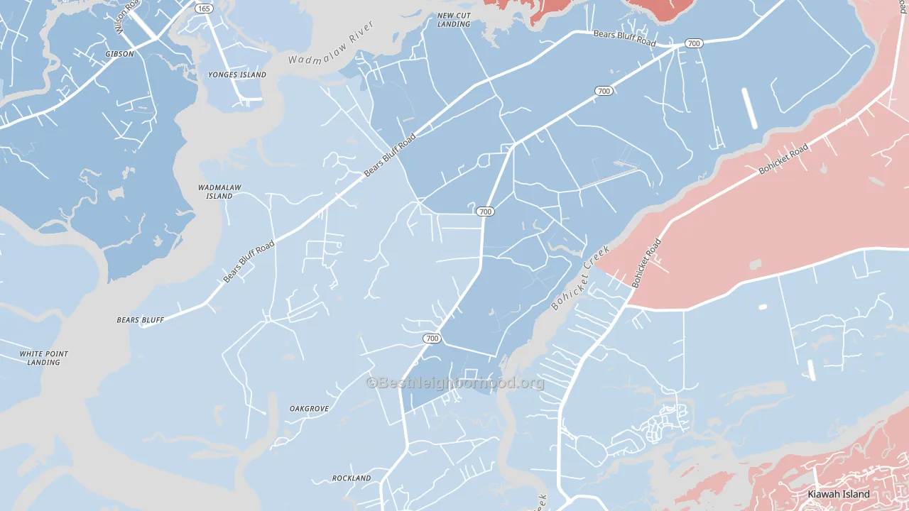 29487, SC block-group political-lean map