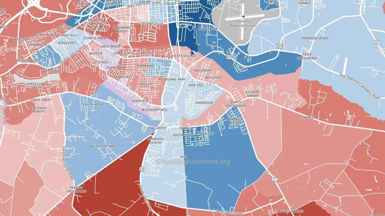 29505, SC block-group political-lean map