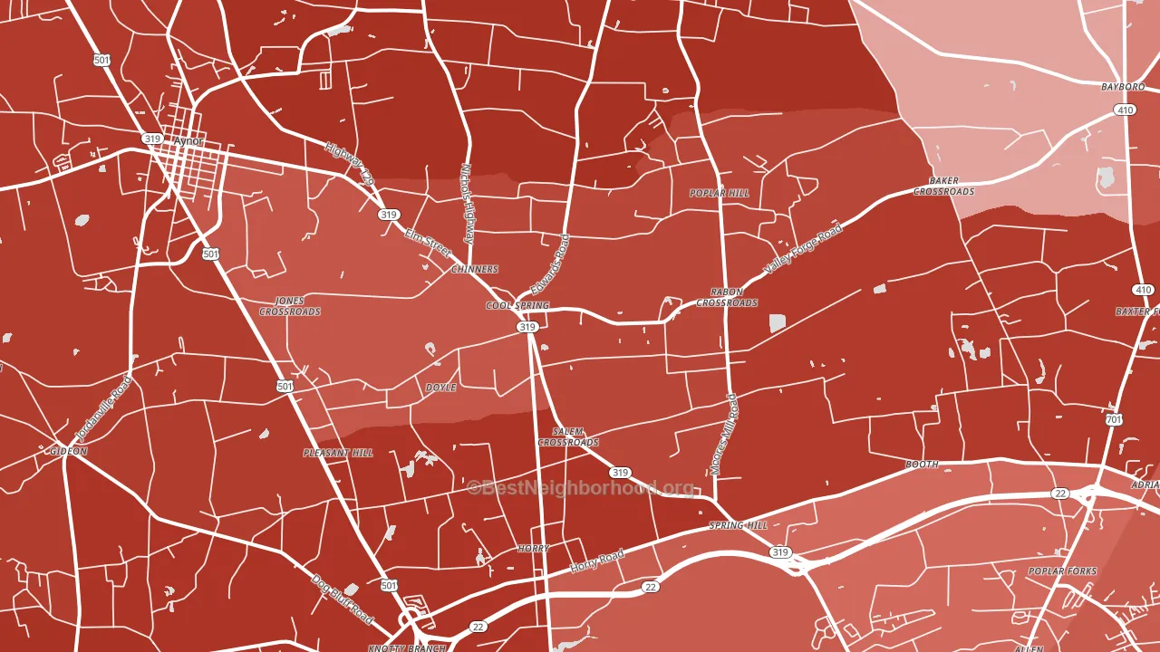 29511, SC block-group political-lean map