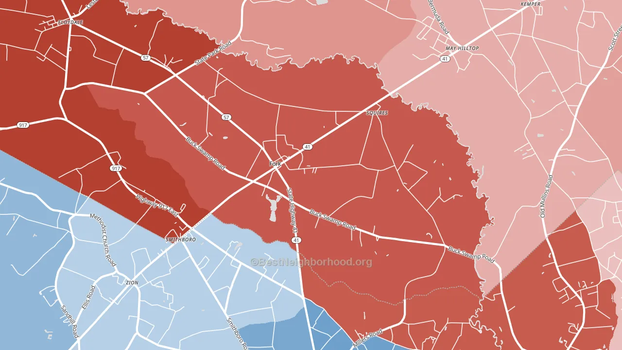 29543, SC block-group political-lean map