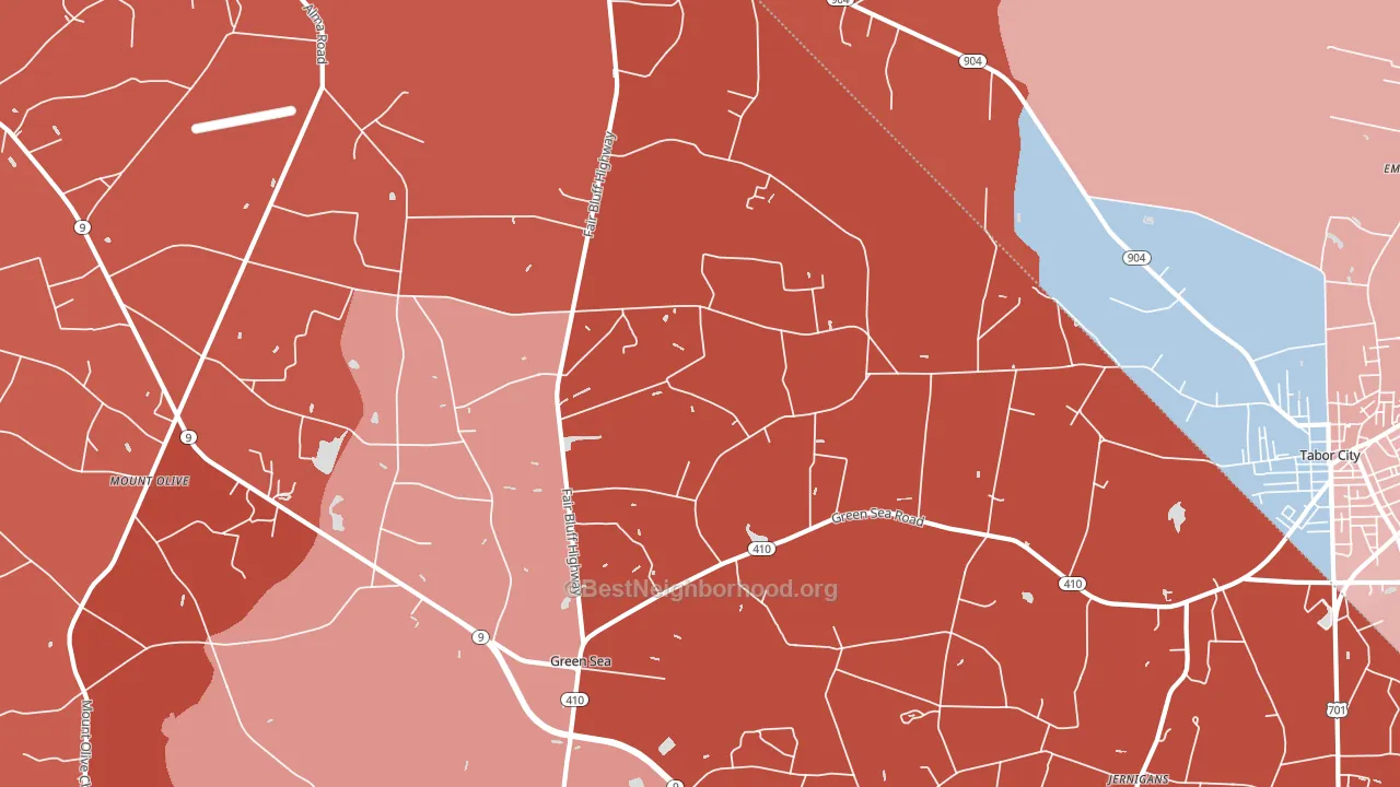 29545, SC block-group political-lean map