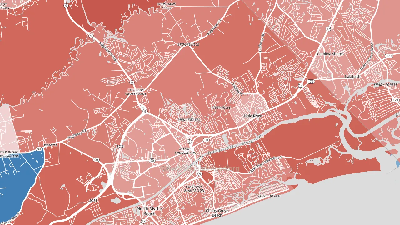 29566, SC block-group political-lean map