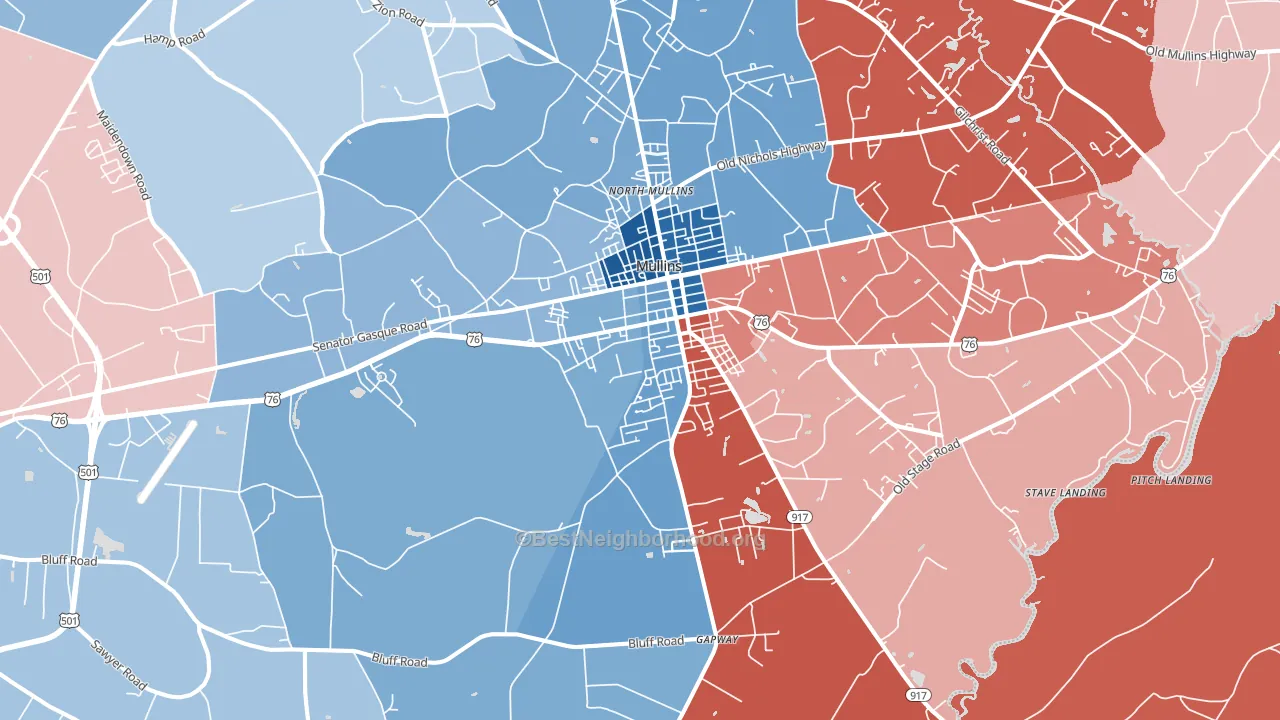 29574, SC block-group political-lean map