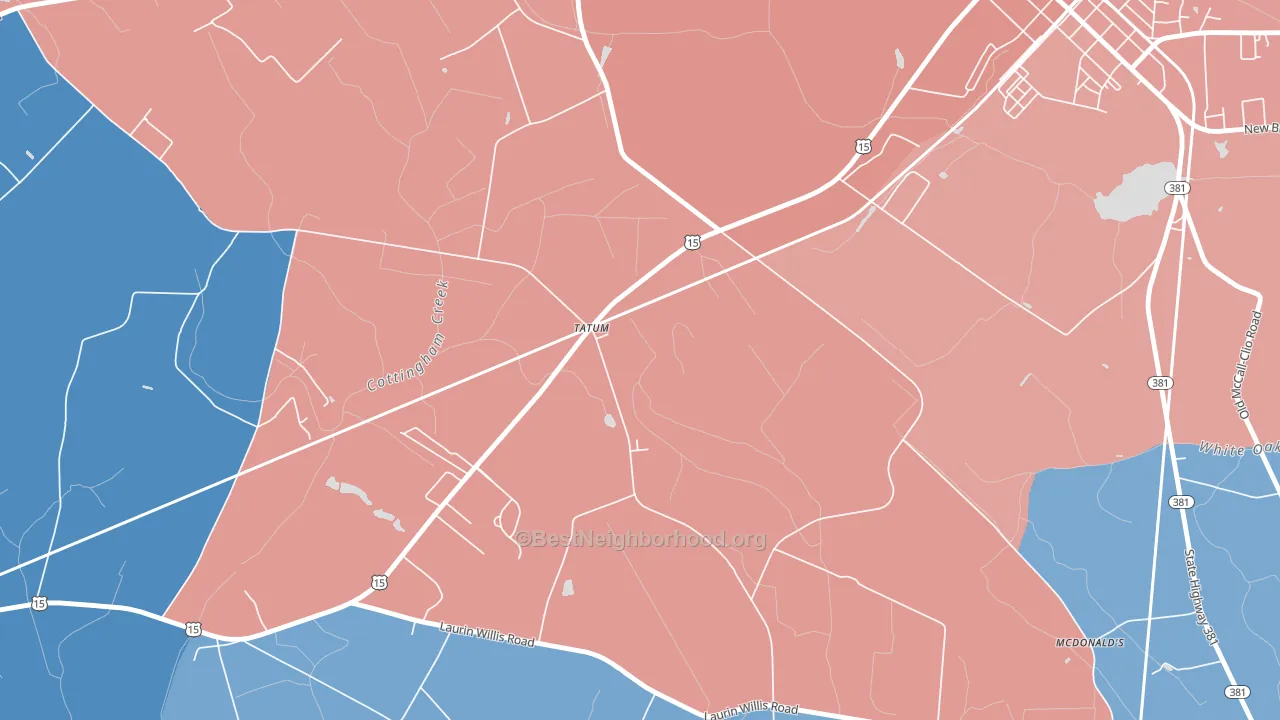29594, SC block-group political-lean map