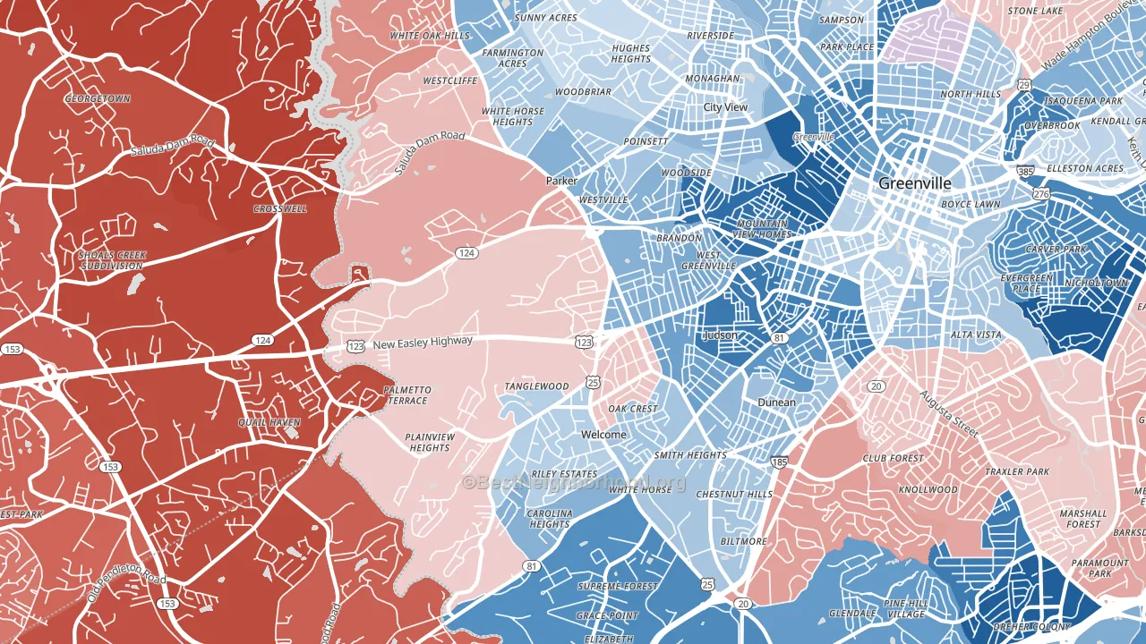 29611, SC block-group political-lean map