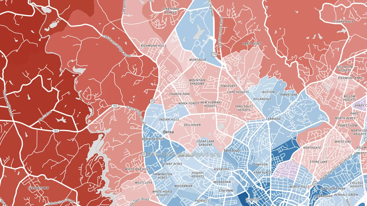 29617, SC block-group political-lean map