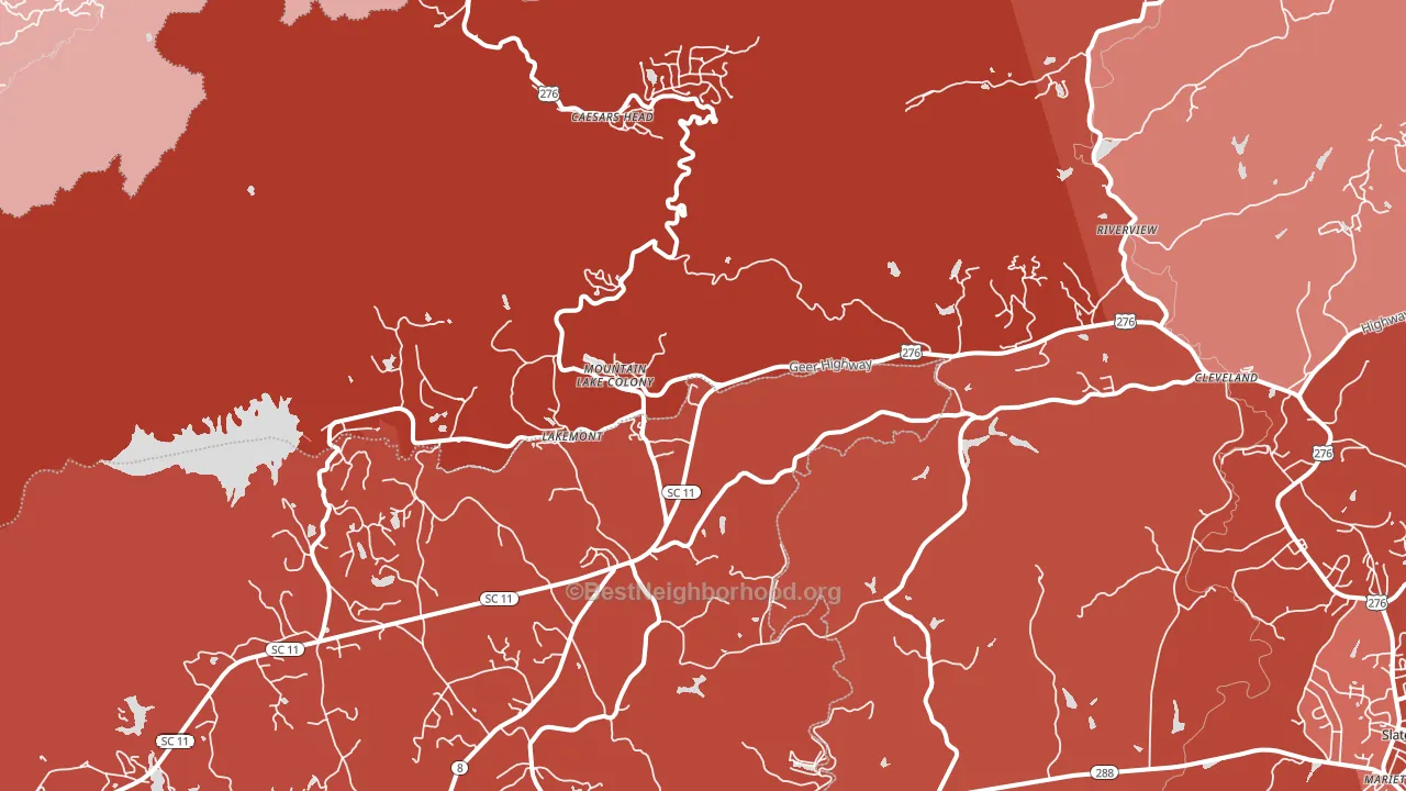 29635, SC block-group political-lean map