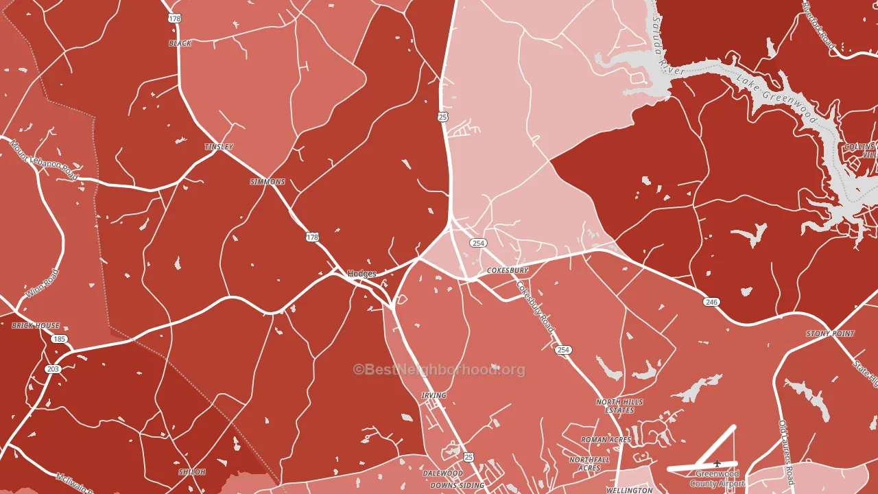 29653, SC block-group political-lean map