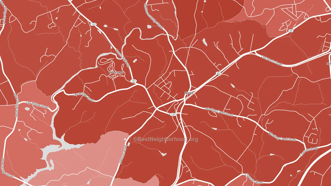29667, SC block-group political-lean map