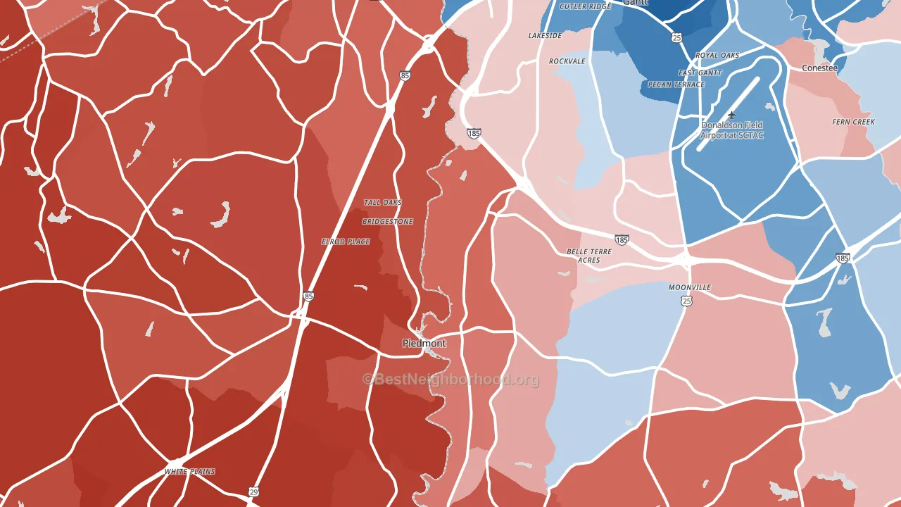 29673, SC block-group political-lean map