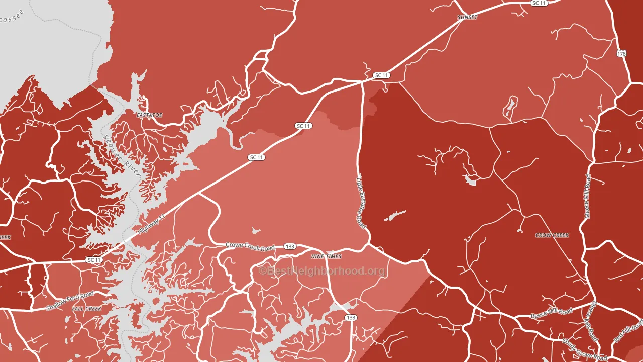 29685, SC block-group political-lean map