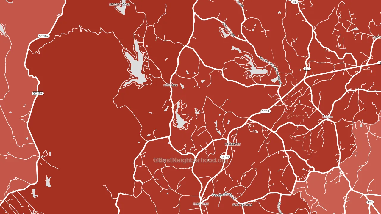 29686, SC block-group political-lean map