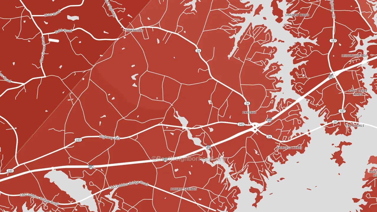 29689, SC block-group political-lean map