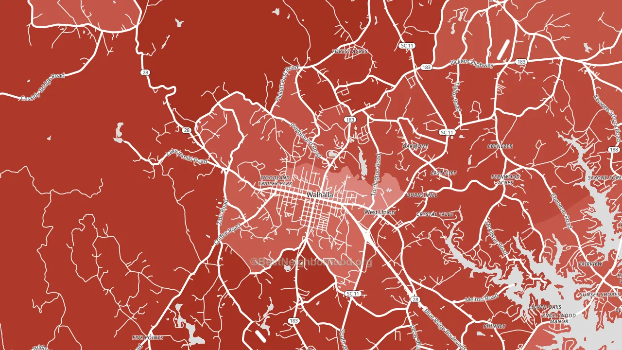 29691, SC block-group political-lean map